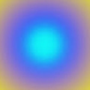 Meet your Posher, Litzy